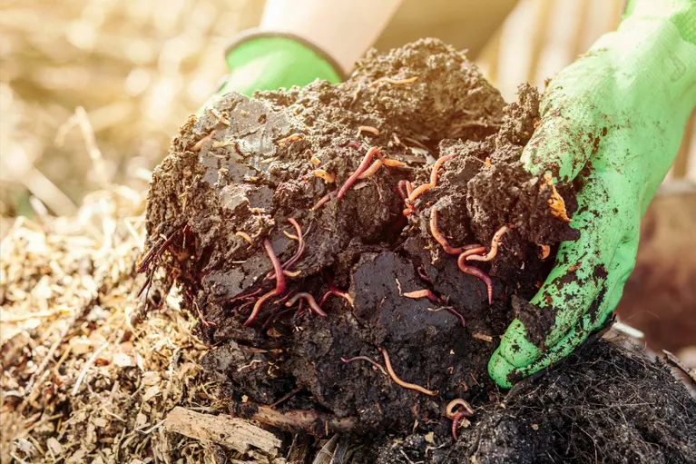 WormTRAP composting system